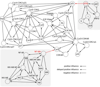 Fig. 5 illustrates the direct effect that one chemical species in the model has on another