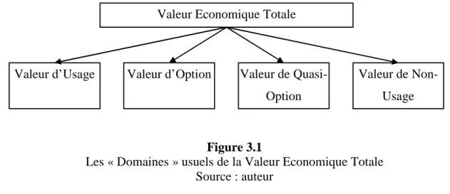 Figure 3. 1 : Les « Domaines » usuels de la Valeur Economique Totale  Figure 3.1 