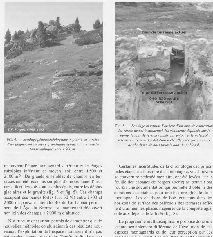 FIG. 4.  - Sondage pédoarchéologique implanté en arrière  d'1111 alignement de blocs granitiques épousant une courbe 