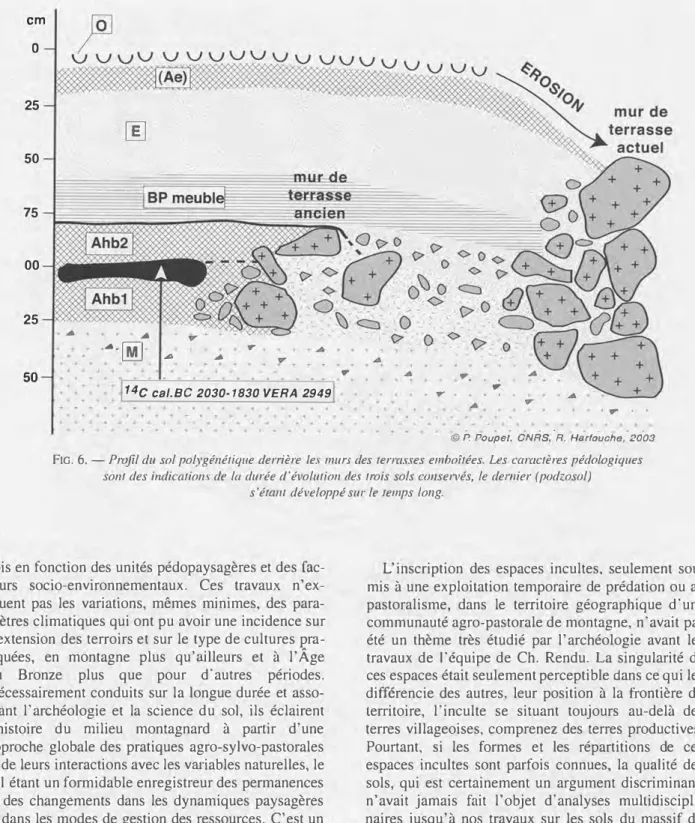 FIG.  6. - Profil du sol polygénétique derrière les murs des terrasses emboîtées. Les caractères pédologiques  sont des indications de la durée d'évolution des trois sols conservés, le demier (podzosol) 