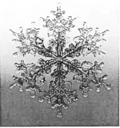 Figure 2-2: Photographie d’un flocon de neige par Walter Wick, 1997