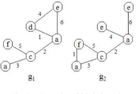 Fig. 1. Examples of labeled graph