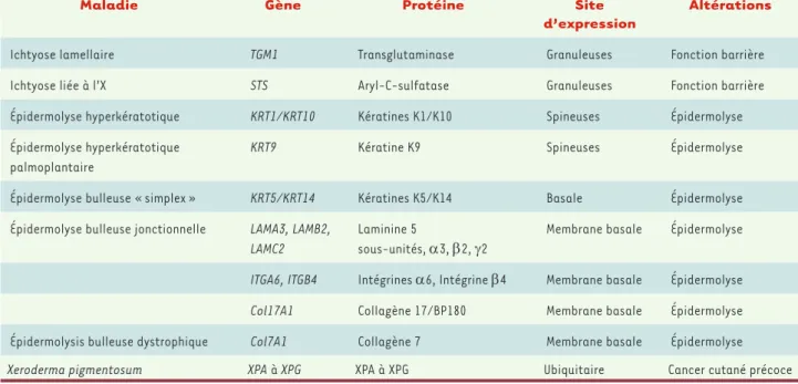 Tableau I. Exemples de génodermatoses qui pourraient bénéficier d’une thérapie génique cutanée.