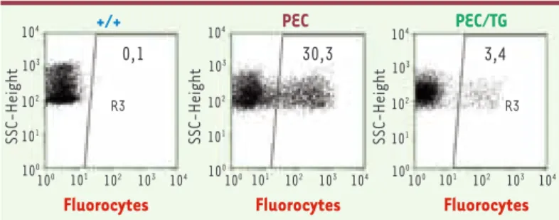 Figure 3. Illustration de la correction métabolique après thérapie génique de la  souris PEC
