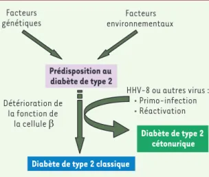 Figure 2.  Hypothèse étiopathogénique du diabète de type 2  cétonurique.Facteurs génétiques Facteurs environnementaux Prédisposition au diabète de type 2