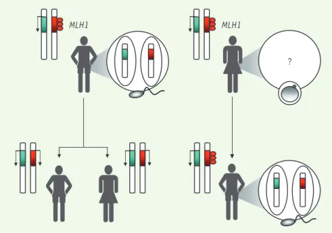 Figure 1. Transmission de l’épimutation MLH1. Le patient décrit dans [6], à gauche, présente une  hyperméthylation (cercles rouges) au niveau du promoteur de MLH1 sur un des deux allèles, entraînant  une perte d’expression du gène