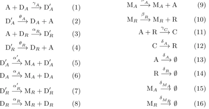 Fig. 2: Petri net representation of the initial state of the genetic  oscil-lator example.