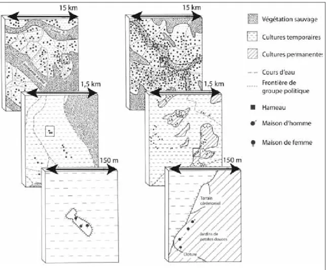 Fig. 1 : Le caractère révélateur de l’observation multiscalaire est bien illustré par les modèles d’établissements (settlement patterns)   des Maring (à gauche) et des Enga centraux (à droite) (Nouvelle Guinée) (d’ap