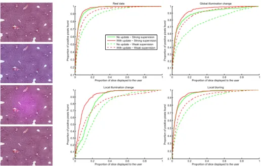 Fig. 2. Results The curves display the average proportion of recovered positive pixels as a function of the proportion of the slice shown to the user