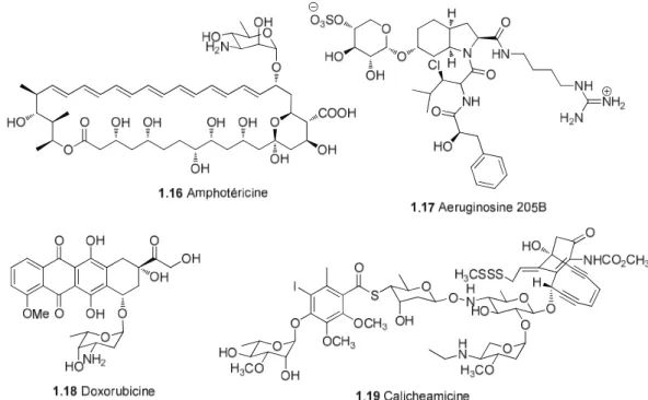Figure 1.5. Exemples choisis de glucides d’importance significative: l’amphotéricine B  (1.16), l’aeruginosine 205B (1.17), la doxorubicine (1.18), et la calicheamicine (1.19) 