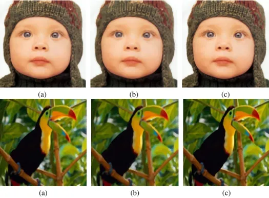 Figure 5: Results for the “baby” (×4) and the “bird” (×3) images: (a) Our algorithm - (b) Chang et al.