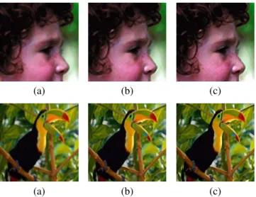 Fig. 3: Visual comparison on the head and bird images between sim- sim-ple bicubic interpolation (a), the LLE-based Neighbor Embedding algorithm (b) in a “standard” configuration (Feature 1, K = 5 ), and our SNMF-based algorithm (c) with Feature 2 and K = 
