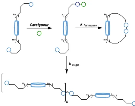 Figure 2. Représentation d’une réaction de macrocyclisation. 