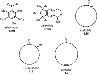 Figure 12. Exemple de différents muscs. 