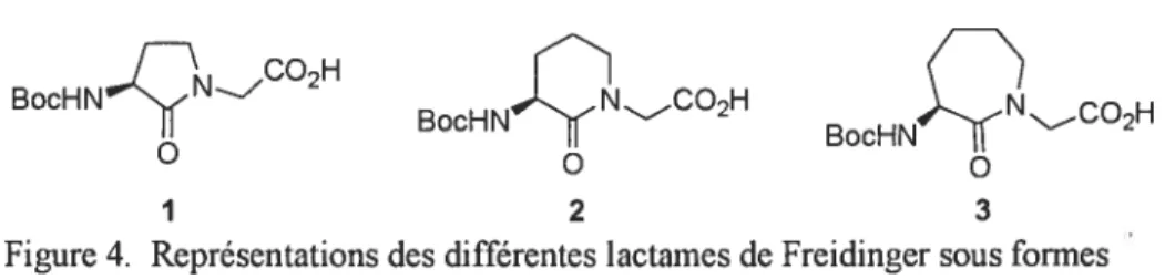 Figure 4. Représentations des différentes lactames de Freidinger sous formes protégées.