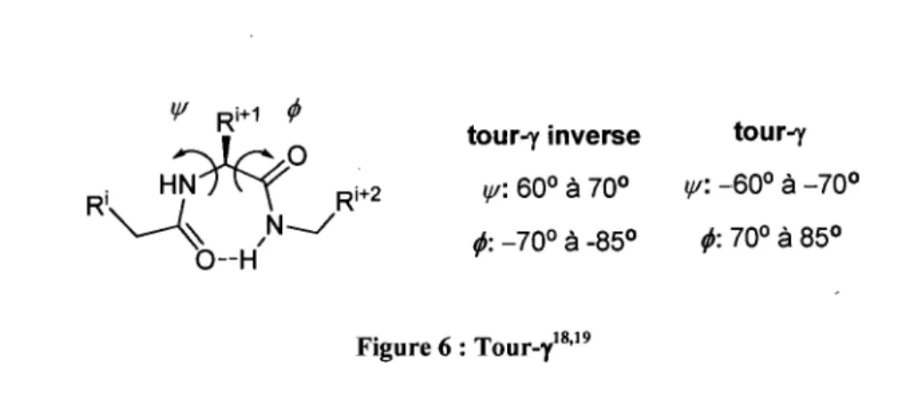 Figure 6: Tour_ y I8.19 