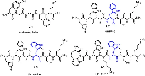 Figure 2.4: Structures chimiques du met-enkephalin, GHRP-6, l’héxareline et l’EP80317