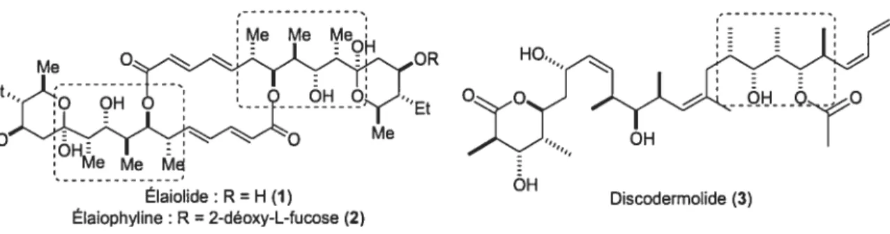 Figure 1: Structures moléculaires des composés biologiquement actifs Discodermolide et Élaiolide.