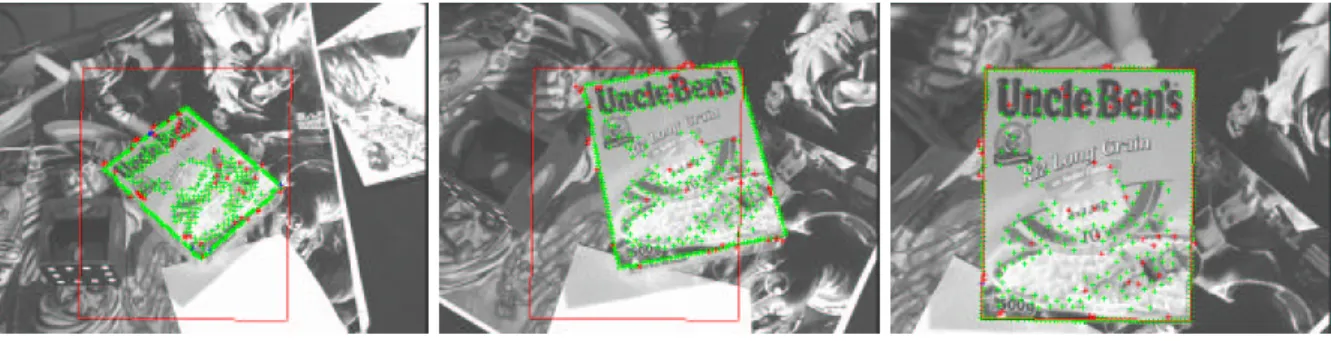 Fig. 5. Multimodal tracking: merging contour and appearance within a single non-linear minimization process.