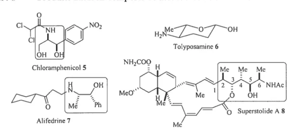 Figure 1 Produits naturels composés de motifs alcools a-aminés.