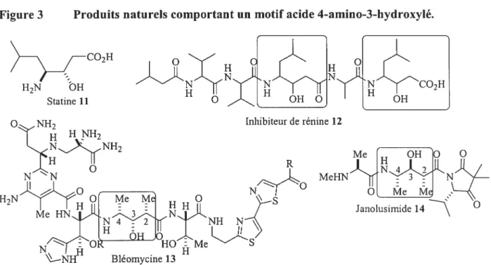 figure 3 Produits naturels comportant un motif acide 4-amino-3-hydroxylé.