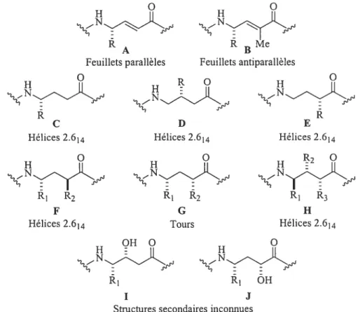 Figure 5 Les différents acides r-aminés et leur structure secondaire.