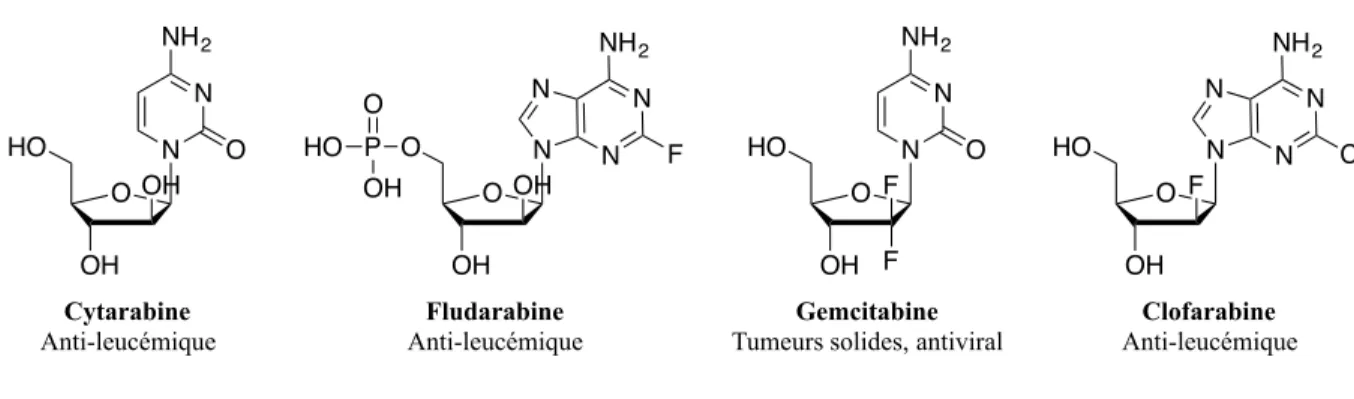 Figure 9. Analogues de nucléosides utilisés contre le cancer 17 