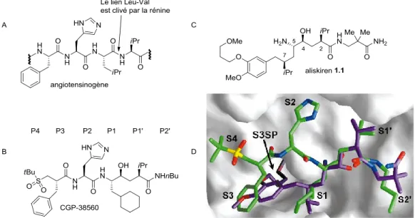 Figure 1.3 : A. L’angiotensinogène B. Exemple d’un inhibiteur de type I C. L’aliskiren D