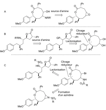 Figure 1.9 : Analyse rétrosynthétique des réactions potentielles pour l’achèvement de la synthèse de  l’aliskiren