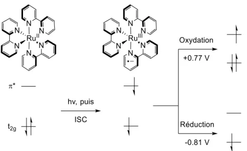 Figure 9 : Orbitales moléculaires simplifiées du Ru(bpy) 3 2+  (adapté de 60a ) 