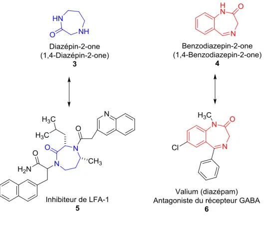 Figure 1.3 : Quelques exemples de structures privilégiées et leurs dérivées  biologiquement actives