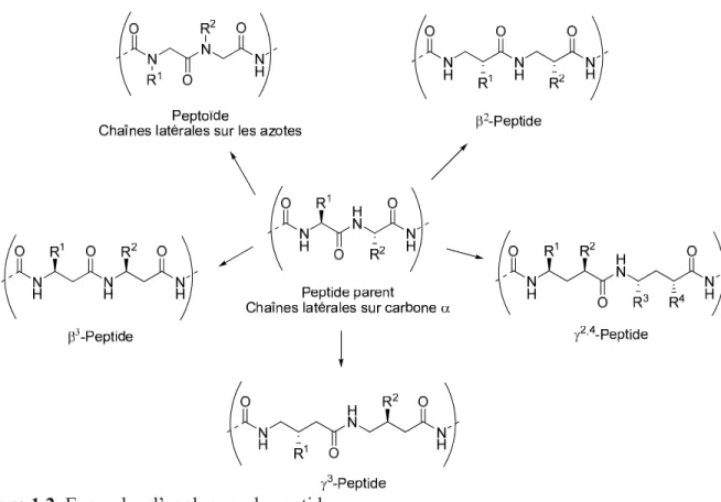 Figure 1.2. Exemples d’analogues de peptides.  