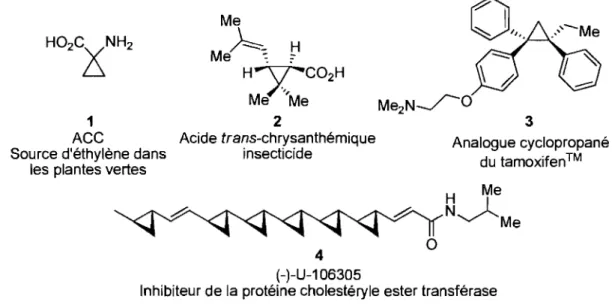 Figure 1. Quelques dérivés cyclopropaniques naturels et synthétiques 