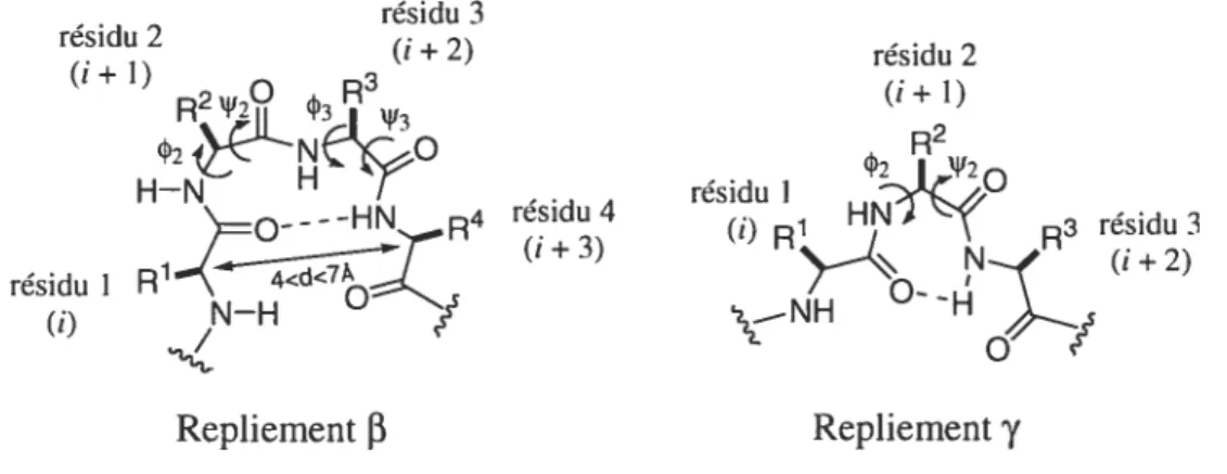 Figure 2. Structure générale des repliements f3 et