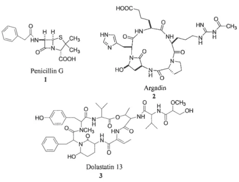 Figure 4. Produits naturels contenant un lactame dipeptidique.’4’6