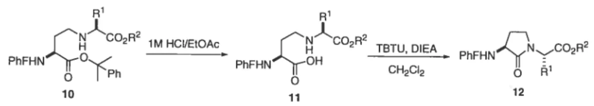 Table I. Yields for the synthesis of secondary amine 10 and lactam 12