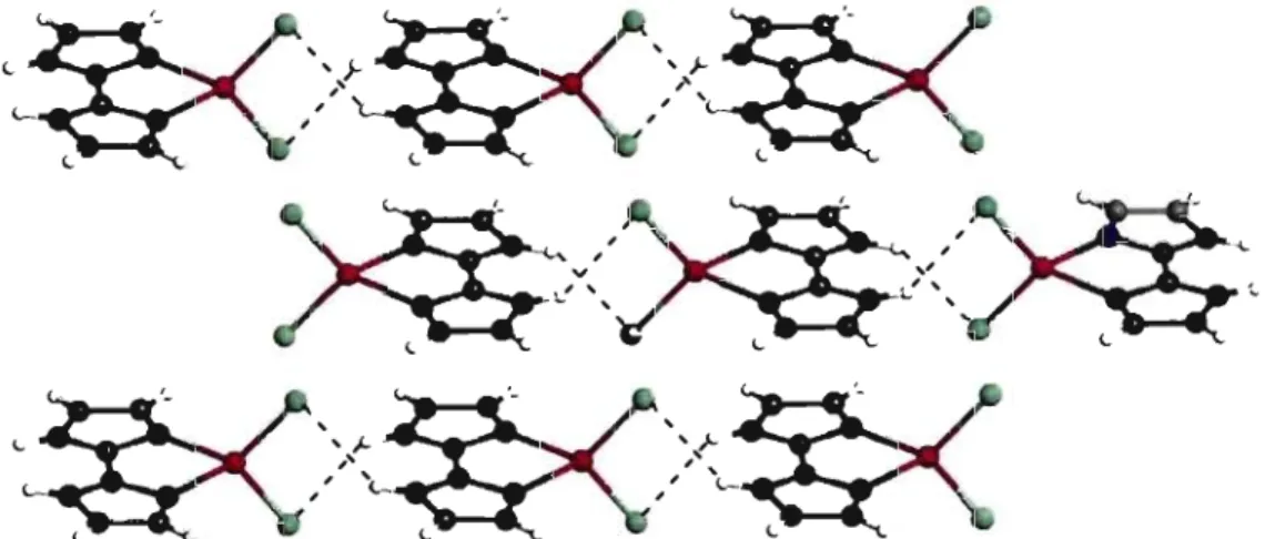 Figure 3.2.  Chaînes de  molécules Zn(H2biim)Ch (3-1)  orientées selon  la  direction  b,  qui  définissent  des  couches  parallèles  au  plan  be