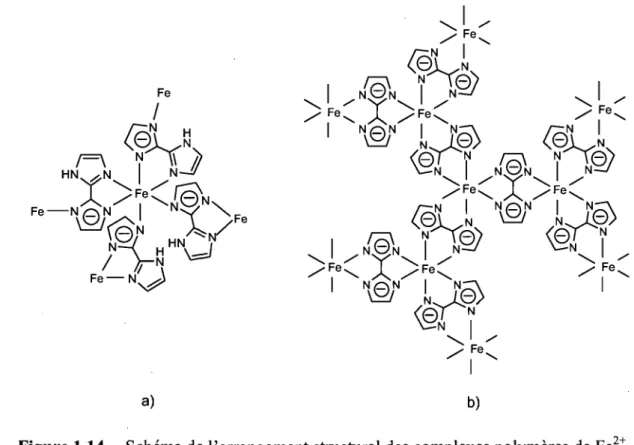 Figure 1.14.  Schéma de l'arrangement structural des complexes polymères de Fe 2