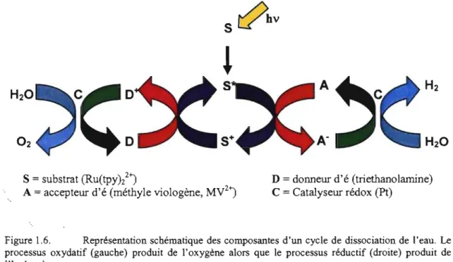 Figure 1.6.  Représentation schématique  des  composantes  d'un cycle  de  dissociation  de  l'eau