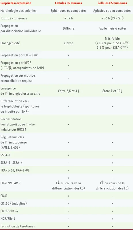 Tableau I. Principales différences de propriétés et d’expression entre cellules ES murines et humai- humai-nes