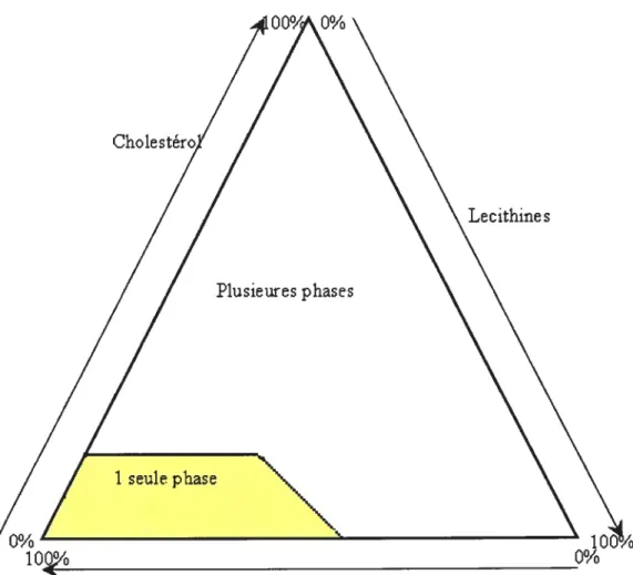 Figure 1-12. Diagramme des compositions possible du mélange ternaire chlolestérol lécithine-sels biliaires Cholesi Lecithine sPlusieures phases1oAcides Biliaires