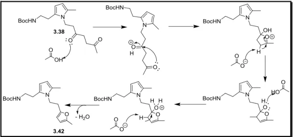 Figure  ‎ 3.2: Structure aux rayons X du 6,12-diméthyle-1,5-dipyrrolediazocane 3.39 