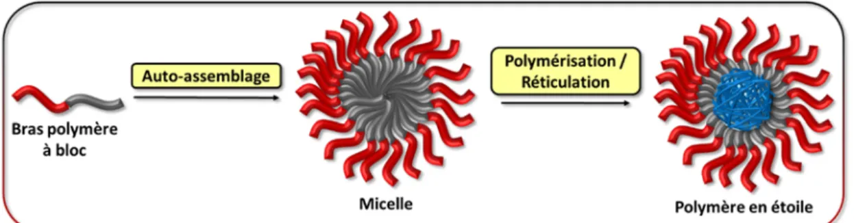 Figure 1. 15 Représentation schématique de la synthèse de polymère en étoile selon l’approche  d’auto-assemblage-réticulation