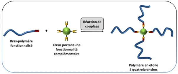 Figure 1. 16 Synthèse des polymères en étoile par la méthode «coupling-onto». 