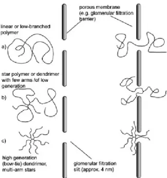 Figure 1. 19 Présentation des différents isomères de l’oxazoline (a. 2-oxazoline; b.3-oxazoline; c