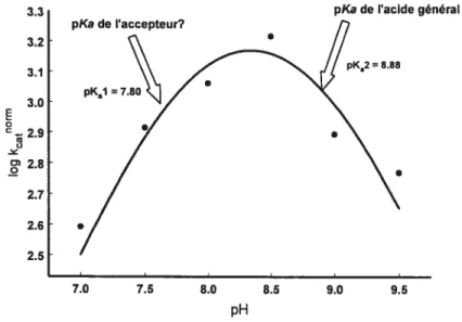 Figure 2.4 : Profil pH-vitesse pour la transpeptidation présence de concentrations saturantes de Gly-Gly à 37°C.