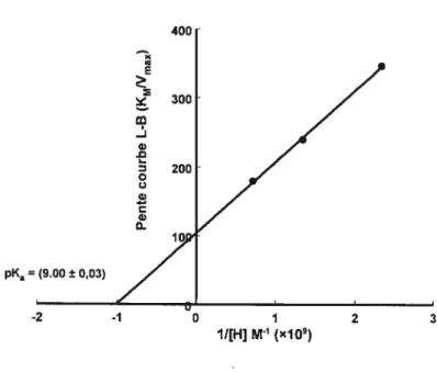 Figure 2.7: Courbe secondaire représentant les pentes obtenues dans le graphique Lineweaver-Burk (figure 2.6) en fonction de l’inverse de la concentration de protons (tirée du pH) afin de déterminer la valeur de pKa.