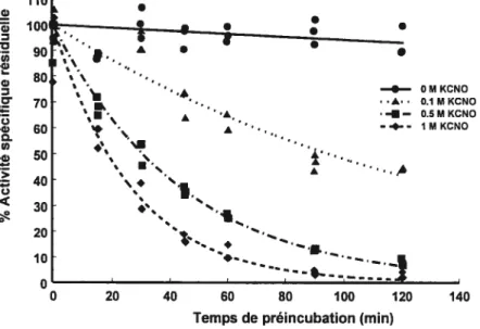 Figure 2.10 : Courbe représentant le pourcentage d’activité spécifique résiduelle de la GGT après incubation avec différentes concentrations de KCNO en fonction du temps de préincubation.