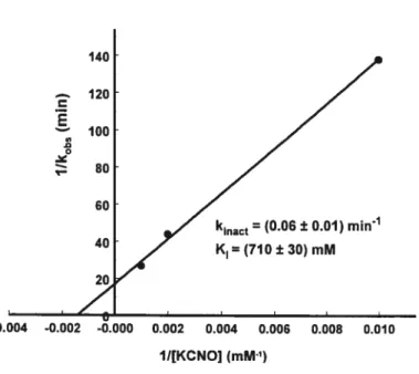 Figure 2.11 : Détermination des constantes cinétiques kinaci et K1 pour l’inhibiteur KCNO.