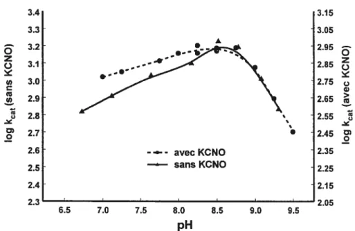 Figure 2.12 Courbes pH-log kcat pour la transpeptidation de la GGT à 37°C sans KCNO ou en présence de 100 mM de KCNO préincubé avec l’enzyme durant 45 min.